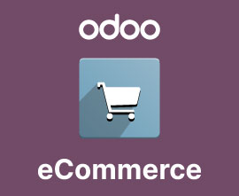 ecommerce